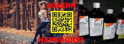 шишки Дубна