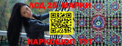 шишки Дубна