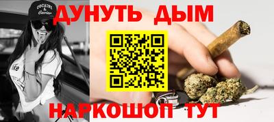 шишки Дубна