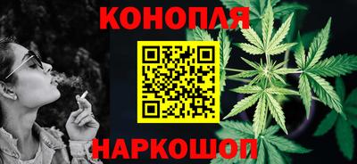 шишки Дубна