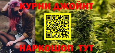 шишки Дубна