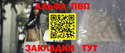 шишки Дубна