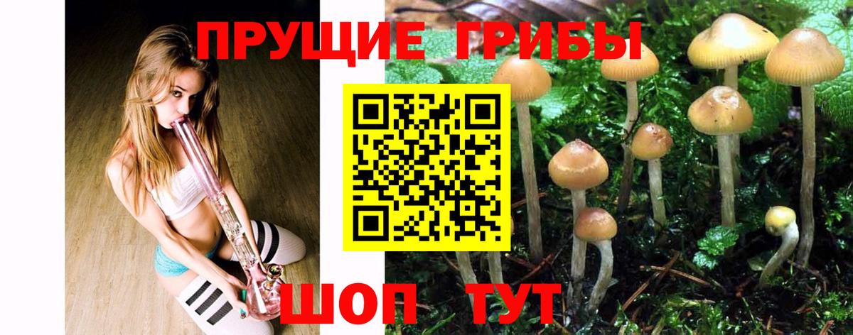 Псилоцибиновые грибы ЛСД Муром