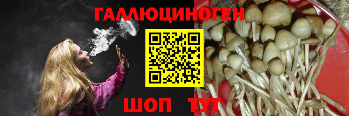 Псилоцибиновые грибы Cubensis  Вход с VPN  Муром 
